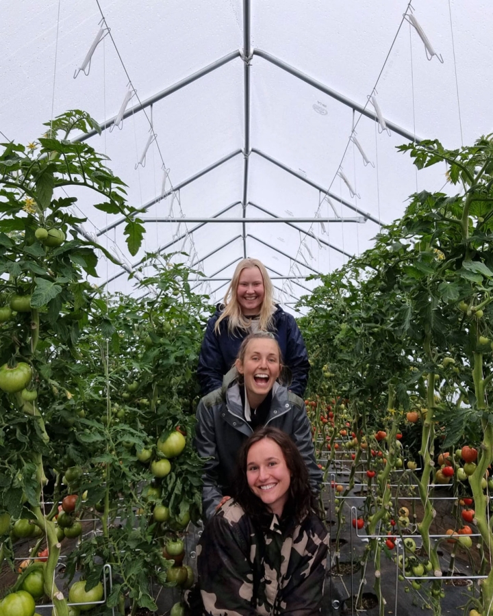 What I Learned About The Future Of Farming In Iceland | Freerice